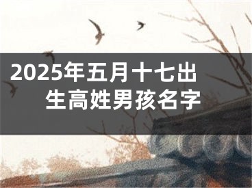 2025年五月十七出生高姓男孩名字