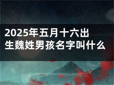 2025年五月十六出生魏姓男孩名字叫什么