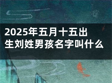 2025年五月十五出生刘姓男孩名字叫什么