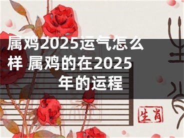 属鸡2025运气怎么样 属鸡的在2025年的运程