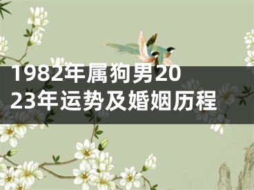 1982年属狗男2023年运势及婚姻历程