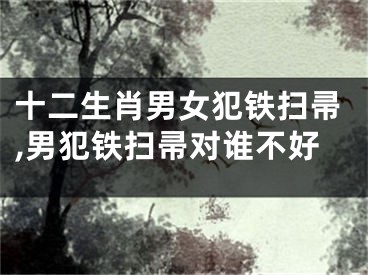 十二生肖男女犯铁扫帚,男犯铁扫帚对谁不好