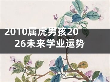 2010属虎男孩2026未来学业运势