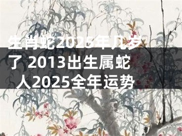 生肖蛇2025年几岁了 2013出生属蛇人2025全年运势