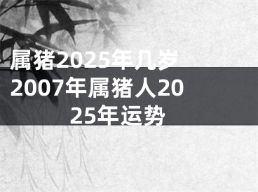 属猪2025年几岁 2007年属猪人2025年运势