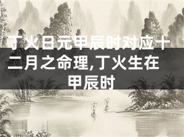 丁火日元甲辰时对应十二月之命理,丁火生在甲辰时