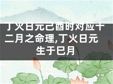 丁火日元己酉时对应十二月之命理,丁火日元生于巳月