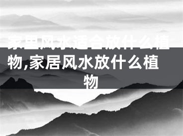 家里风水适合放什么植物,家居风水放什么植物