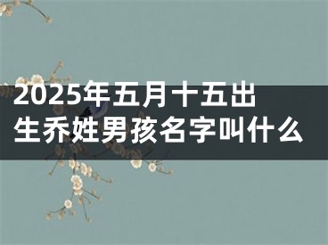 2025年五月十五出生乔姓男孩名字叫什么