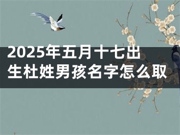 2025年五月十七出生杜姓男孩名字怎么取