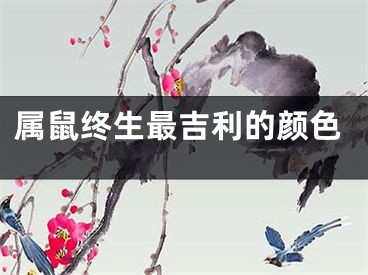 属鼠终生最吉利的颜色
