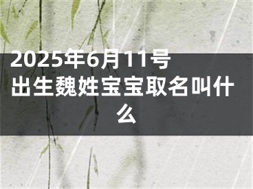 2025年6月11号出生魏姓宝宝取名叫什么