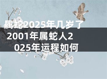 属蛇2025年几岁了 2001年属蛇人2025年运程如何