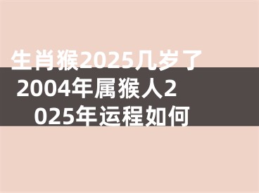 生肖猴2025几岁了 2004年属猴人2025年运程如何