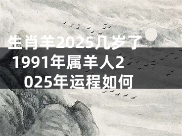 生肖羊2025几岁了 1991年属羊人2025年运程如何