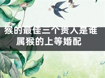 猴的最佳三个贵人是谁 属猴的上等婚配