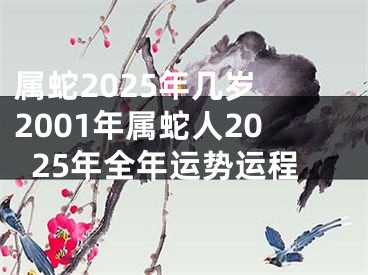 属蛇2025年几岁 2001年属蛇人2025年全年运势运程