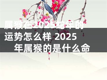 属猴在2025蛇年的运势怎么样 2025年属猴的是什么命