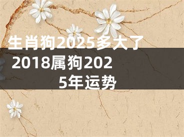 生肖狗2025多大了 2018属狗2025年运势