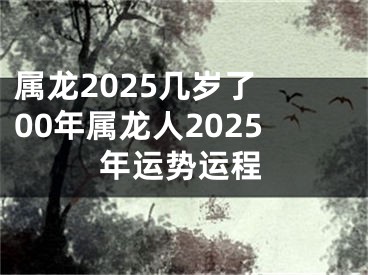 属龙2025几岁了 00年属龙人2025年运势运程