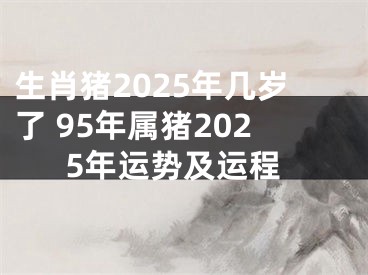 生肖猪2025年几岁了 95年属猪2025年运势及运程