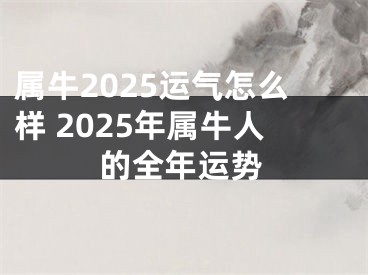 属牛2025运气怎么样 2025年属牛人的全年运势