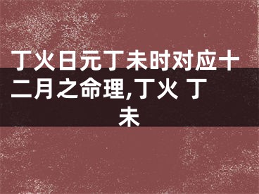 丁火日元丁未时对应十二月之命理,丁火 丁未