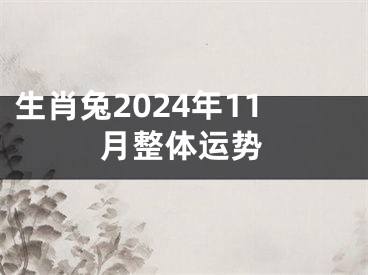 生肖兔2024年11月整体运势