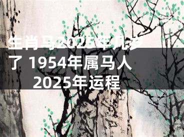 生肖马2025年几岁了 1954年属马人2025年运程