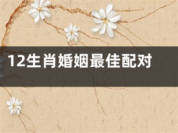 12生肖婚姻最佳配对