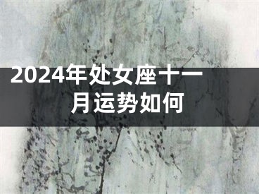 2024年处女座十一月运势如何