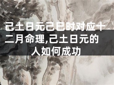 己土日元己巳时对应十二月命理,己土日元的人如何成功