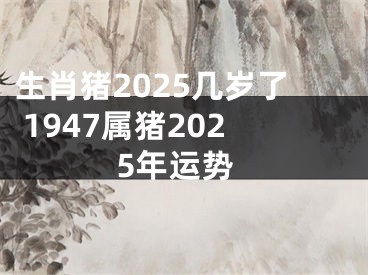 生肖猪2025几岁了 1947属猪2025年运势