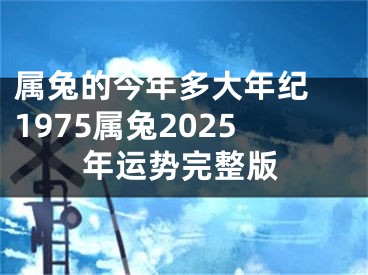 属兔的今年多大年纪 1975属兔2025年运势完整版