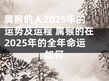 属猴的人2025年的运势及运程 属猴的在2025年的全年命运如何