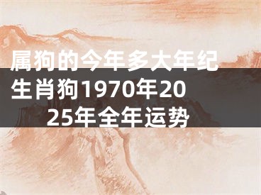属狗的今年多大年纪 生肖狗1970年2025年全年运势