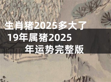 生肖猪2025多大了 19年属猪2025年运势完整版