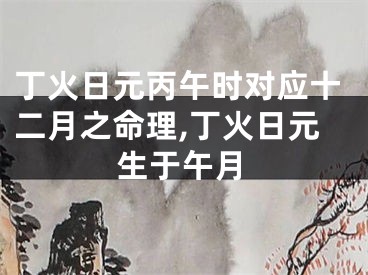 丁火日元丙午时对应十二月之命理,丁火日元生于午月