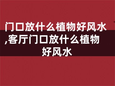 门口放什么植物好风水,客厅门口放什么植物好风水