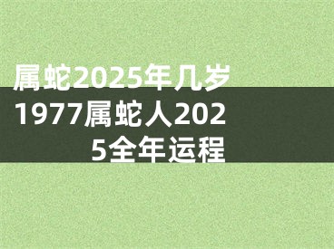 属蛇2025年几岁 1977属蛇人2025全年运程