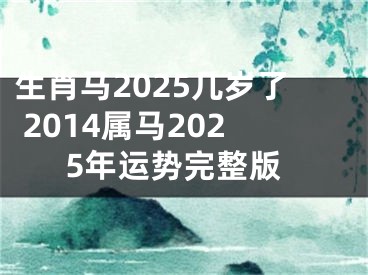 生肖马2025几岁了 2014属马2025年运势完整版