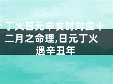 丁火日元辛亥时对应十二月之命理,日元丁火遇辛丑年