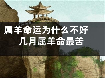 属羊命运为什么不好 几月属羊命最苦