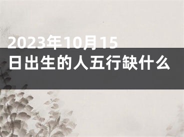 2023年10月15日出生的人五行缺什么 