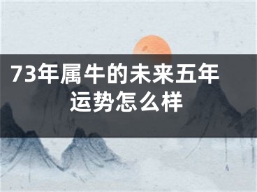 73年属牛的未来五年运势怎么样