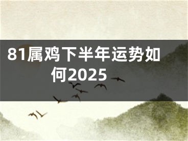 81属鸡下半年运势如何2025