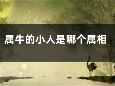 属牛的小人是哪个属相
