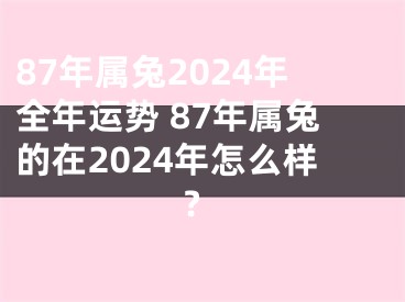87年属兔2024年全年运势 87年属兔的在2024年怎么样?