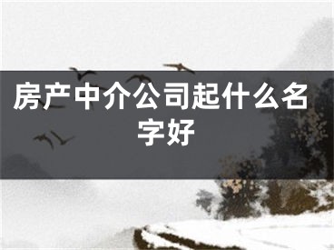 房产中介公司起什么名字好