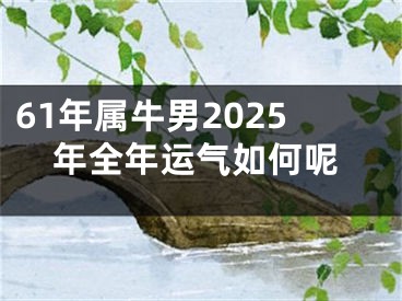 61年属牛男2025年全年运气如何呢